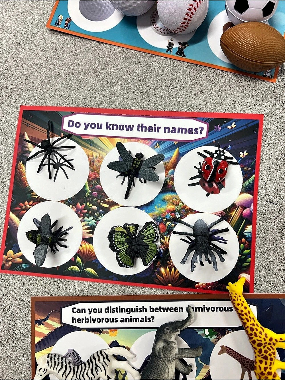 Learning sorting activity - Picture 6 of 13